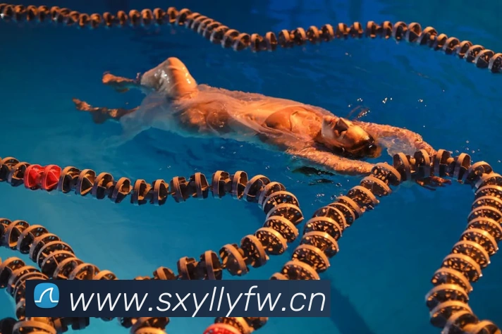 App Interface Preview